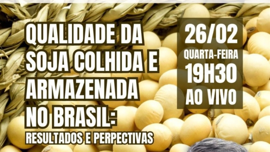 Qualidade da soja no Brasil será tema de debate nesta quarta-feira