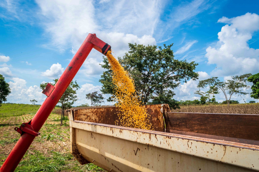 Fazenda prevê crescimento do PIB de 2025 puxado pelo agro